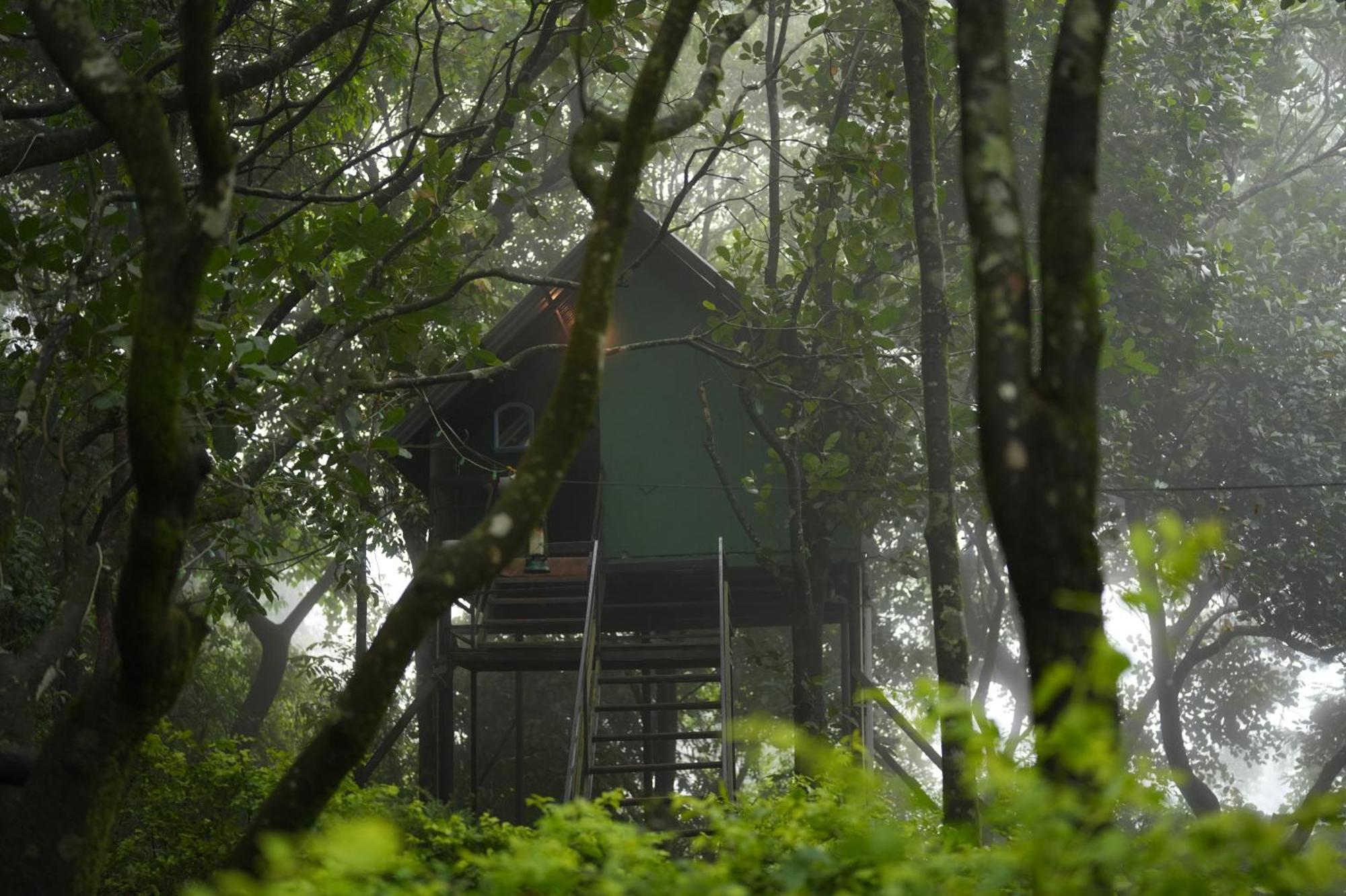 Regina Silva Camping & Nature Resort Paithalmala Ngoại thất bức ảnh
